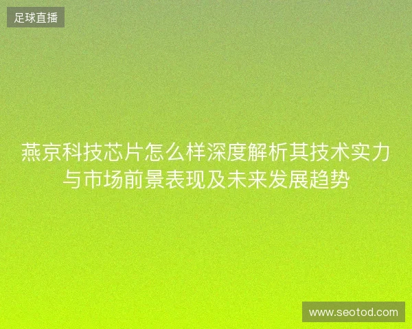 燕京科技芯片怎么样深度解析其技术实力与市场前景表现及未来发展趋势 燕京科技芯片怎么样深度解析其技术实力与市场前景表现及未来发展趋势