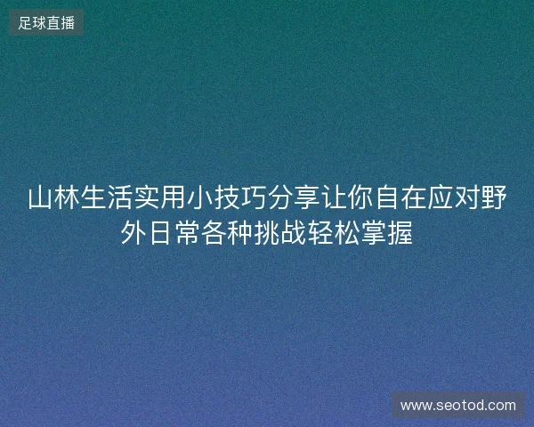 山林生活实用小技巧分享让你自在应对野外日常各种挑战轻松掌握